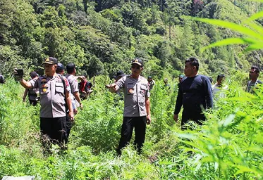 Kapolda Aceh Kunker ke Gayo Lues dan Pemusnahan Ladang Ganja