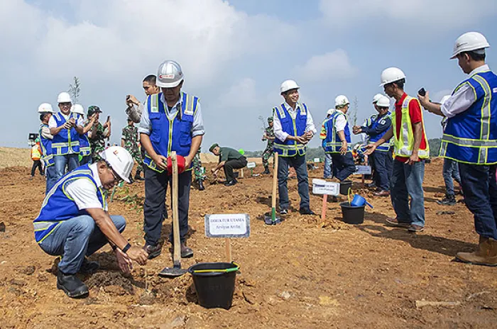 Jelang Ulang Tahun, Bukit Asam Tanam 2020 Pohon Kayu Putih