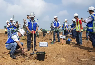 Jelang Ulang Tahun Bukit Asam Tanam 2020 Pohon Kayu Putih