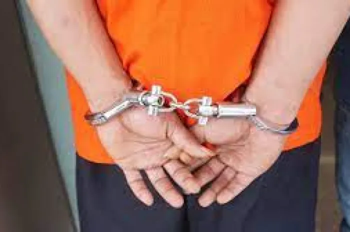 Gunakan Situs Palsu Dua WNI Garuk Dana Covid AS Hingga US $ 60 Juta 