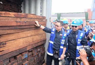 3 Direktur Perusahan Kayu Tersangka Pencurian Kayu Merbau  