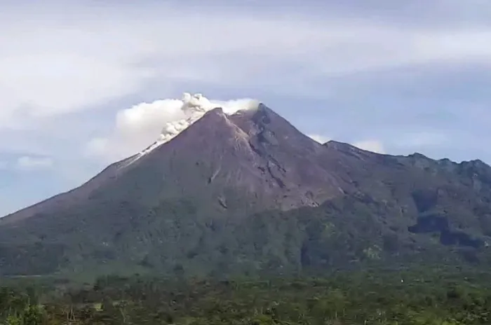 Kembali Luncurkan Awan Panas Sejauh 1,8 KM, Merapi Tebarkan Ancaman 