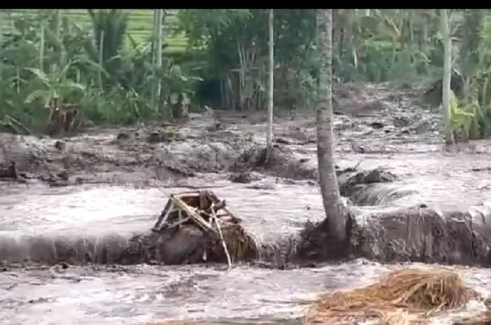 Menurut BPBD Setidaknya Ada 3.986 KK Terdampak Banjir di Jember
