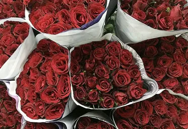 Pemkot Depok Larang Pelajar Rayakan Valentine