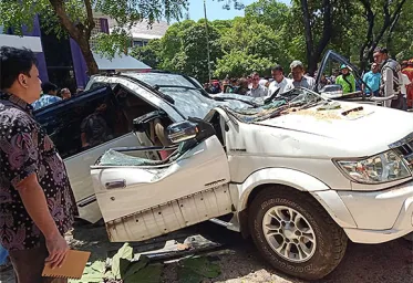 Pohon Besar di Universitas Pancasila Renggut Satu Nyawa 