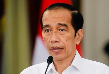 Jokowi Terbitkan Perpres Dan Tunjuk Ketua Dewan Pengarah BRIN