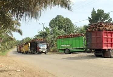 DP LPRI Kaltim Kecam PT TPG Terindikasi Rusak Dan Cemari Lingkungan