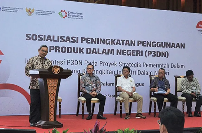 Selain Perkuat Industri Nasional, Program P3DN Bisa Tekan Produk Impor