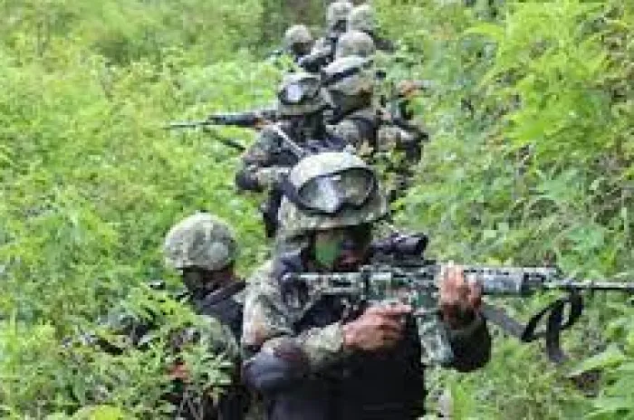Empat Prajurit TNI Belum Ditemukan Setelah Dihadang KKB Papua di Nduga, Empat Tentara Lainnya Terluka