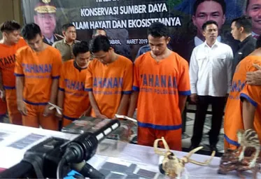 Sindikat Penjual Satwa Liar Antar Negara Dibongkar Polisi Surabaya 