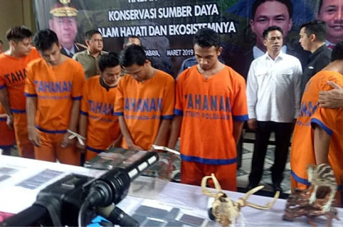 Sindikat Penjual Satwa Liar Antar Negara Dibongkar Polisi Surabaya 
