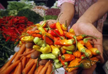 Harga Bahan Pokok Melambung Cabai Rawit Merah Tembus Rp 96 Ribu