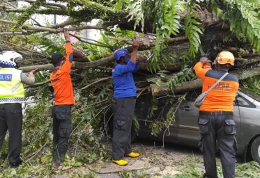 Puluhan Rumah Di Jember Rusak Diterjang Angin Kencang