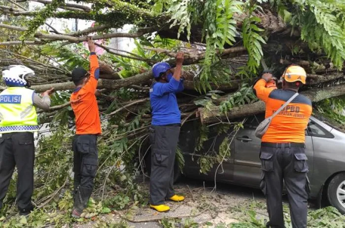 Puluhan Rumah Di Jember Rusak Diterjang Angin Kencang