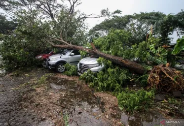 Akibat Puting Beliung Landa Sidoarjo 4 Orang Terluka 