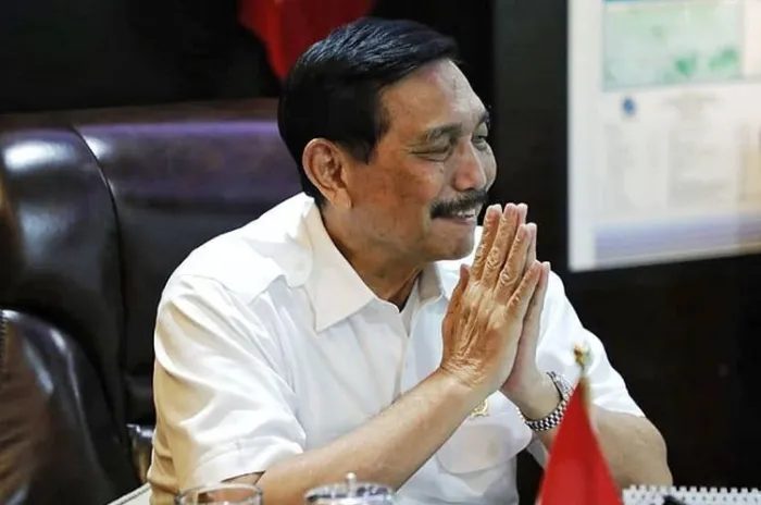 Luhut Akan Dilaporkan Ke Polisi Oleh Beberapa Ormas  