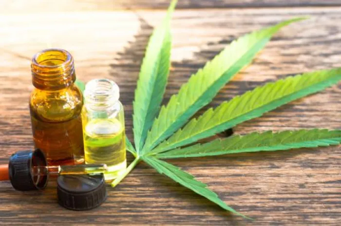 MK Perintahkan Penelitian Ganja Untuk Medis Harus Segera Dilakukan