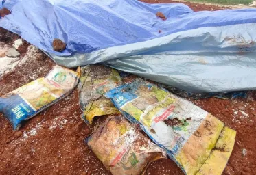 Telah Ditemukan Beras Bansos Presiden Dikubur di Depok