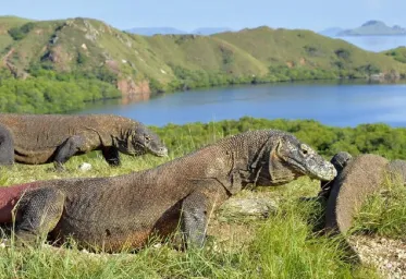 Polda Kirim Personel Tambahan ke Labuan Bajo Untuk Amankan Jalannya Aksi Protes Kenaikan Tarif Wisata Komodo  