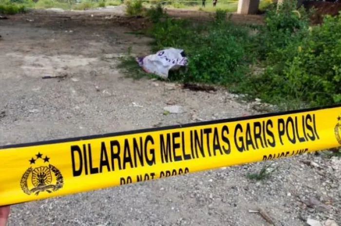 Perselingkuhan Menjadi Motif Pembunuhan Wanita Dalam Karung di Tol Cilincing 