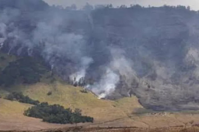 Akibat Kebakaran Di Bukit Teletubies, Bromo Muncul ‘Tornado Api’ 