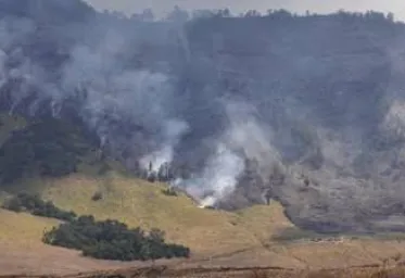 Akibat Kebakaran Di Bukit Teletubies Bromo Muncul Tornado Api 
