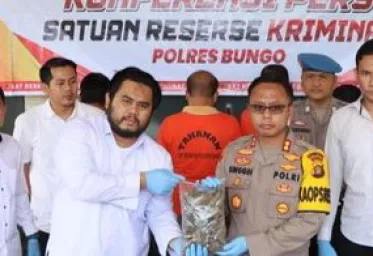 Polisi Tangkap 4 Tersangka Penyelundupan 36 Ton Batu Bara Ilegal di Jambi 