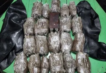 Polisi Ungkap Penyelundupan Ganja Disamarkan Ikan Asin di Depok 