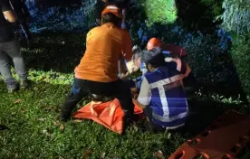 DKI Jakarta Mayat Pria Dengan Tangan-Kaki Terikat Ditemukan Di Tepi Tol Jagorawi