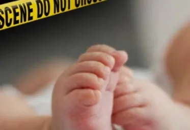 Sindikat Penjualan Bayi ke Singapura Berhasil Diungkap  Satu Anak Dihargai Belasan Juta