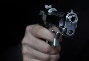 Akhirnya Polisi Tangkap Pria Pamer Pistol dan Ngaku Ring Satu Istana