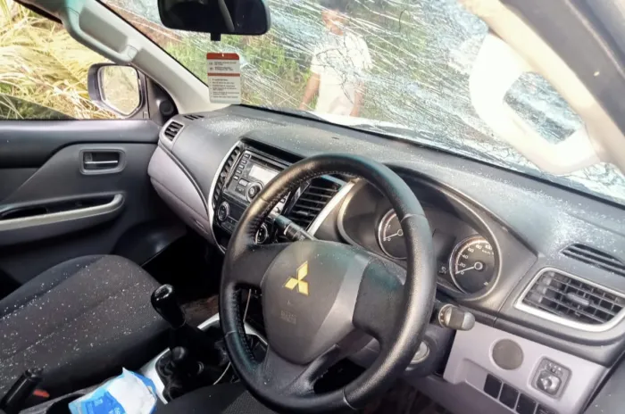 15 WN China Bawa Senjata, Serang  Perusahaan dan TNI di Ketapang Kalbar