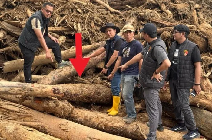 Kayu di Sungai Garoga Sumut  Diambil Sebagai Barang Bukti