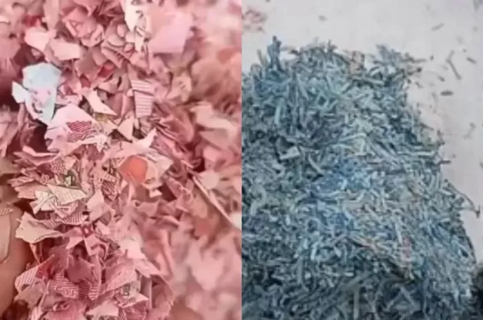 Penemuan  21 Karung Cacahan Uang di TPS Bekasi Yang Diduga Uang Asli Bikin Gempar