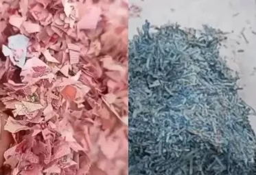 Penemuan  21 Karung Cacahan Uang di TPS Bekasi Yang Diduga Uang Asli Bikin Gempar