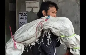 DKI Jakarta Seorang Pria Sempat Dikira Gendong Mayat, Ternyata Bawa Biawak di Tambora