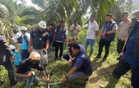 Nasional Bareskrim Nyatakan Blackout Sumatera Bukan Karena Sabotase 